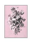 Dussurgey Roses on Pink by Dussurgey
