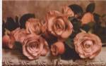 Dusty Rose by Julie Greenwood