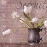 Dutch Tulips I by Gaetano