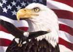 Eagle And Flag by William Vanderdasson