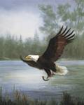Eagle Fishing by Marianne Caroselli