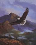 Eagle Gliding by Marianne Caroselli
