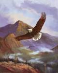 Eagle Gliding by Marianne Caroselli