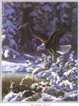 Eagle In Winter by Michelle Mara