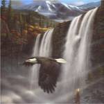 Eagle Portrait by Leo Stans