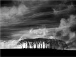 Early Morning Clouds by Martin Henson