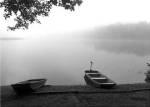 Early Morning Fishing