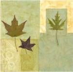Earth Elements I  *** by Julie Holland