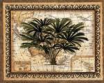 East Indies Palm by Old world prints New day designs