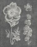 Eden Spring I Gray by Wild Apple Portfolio