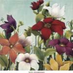 Efflorescence by Maja