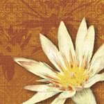 Efflorescence II by Tandi Venter