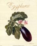 Eggplant by Nancy Wiseman