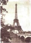 Eiffel Tower 8 x10 by Wild Apple Studio