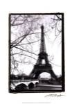 Eiffel Tower Along the Seine River by Laura Denardo