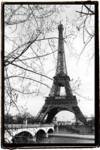 Eiffel Tower Along the Seine River by Laura Denardo
