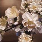 Elegance I by Rick Novak