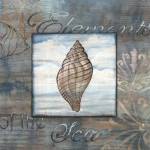 Elements of the Sea I by Charlene Audrey