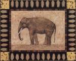 Elephant by Pamela Gladding