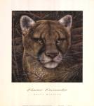 Elusive Encounter by Ruane Manning