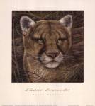 Elusive Encounter by Ruane Manning