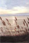 End of Day by Diane Romanello