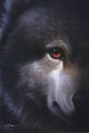 Endangered Wolf by Richard Cowdrey