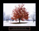 Endurance - Fall Tree by Craig Tuttle