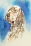 English Setter by Barbara Keith