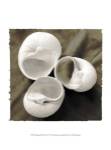 Equalized Shell Trio I by Andrew James
