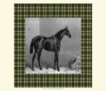Equestrian Plaid I by Etienne Hacker