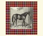 Equestrian Plaid III by Etienne Hacker