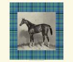 Equestrian Plaid IV by Etienne Hacker