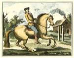 Equestrian Training I by Denis Diderot