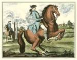 Equestrian Training III by Denis Diderot