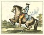 Equestrian Training IV by Denis Diderot