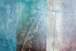 Ethereal by Wild Apple Portfolio