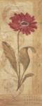 Evening Dahlia by Jo Moulton