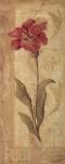Evening Lily by Jo Moulton