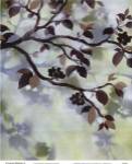 Evening Shadows I by Irene Paschal