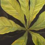 Evergreen I by Patricia Pinto