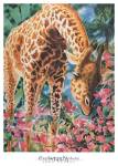 Exploring Nature by Joan Hansen