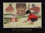 Eye of the Tiger by Kenneth Gatewood