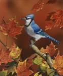 Fall Colors by William Vanderdasson