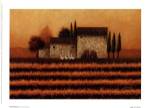 Fall Vineyard by Lowell Herrero