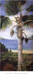 Fan Palm by Deborah Thompson