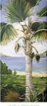 Fan Palm by Deborah Thompson