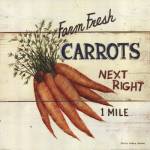 Farm Fresh Carrots by David Carter Brown