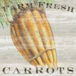 Farm Fresh Carrots by Sue Schlabach