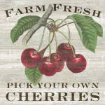 Farm Fresh Cherries I by Sue Schlabach
